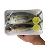 Ikan Katombo (25k)