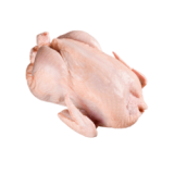 Ayam potong 1 ekor (87.5k)