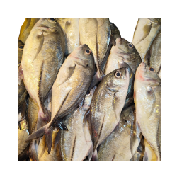 Ikan Bubara 500g (43.75k)