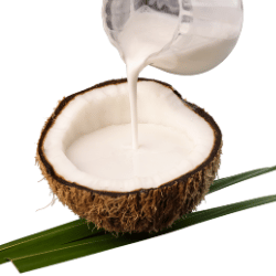 Santan kelapa (12k)