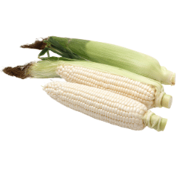 Jagung pulut (3k)
