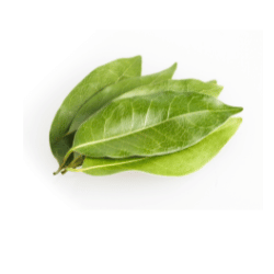 Daun Salam (6.5k)