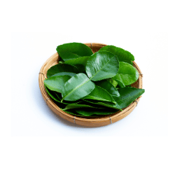 Daun Jeruk (3k)