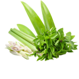Rempah daun (2.5k)