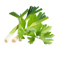 Daun bawang dan seledri (6.25k)